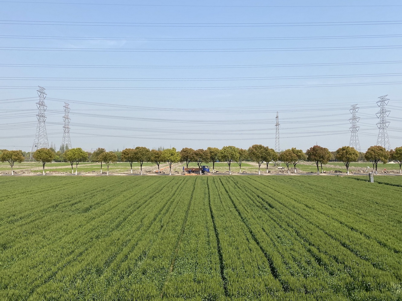 城厢镇富硒大米（富硒大米多少钱一盒）-硒宝网