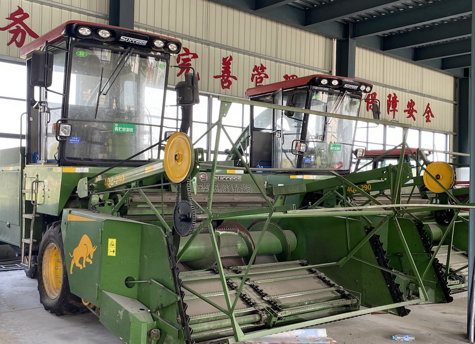 城厢镇富硒大米（富硒大米多少钱一盒）-硒宝网