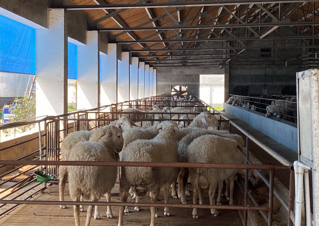 城厢镇富硒大米（富硒大米多少钱一盒）-硒宝网