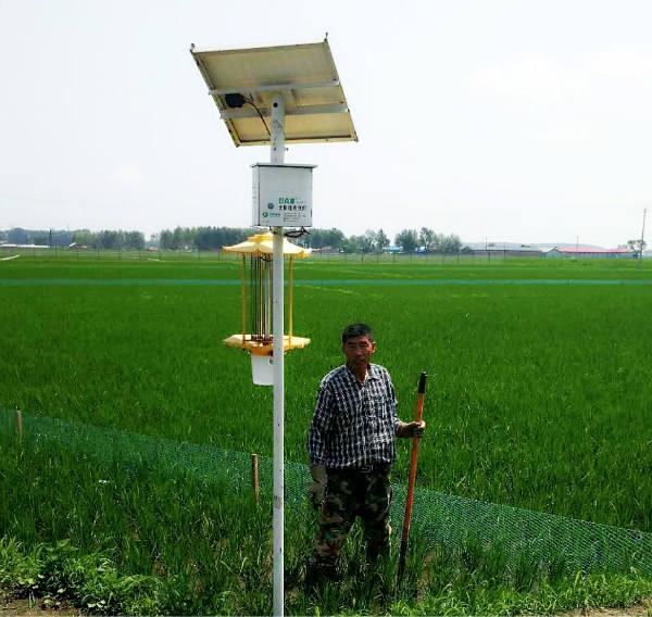 五常富硒锌大米（富硒大米和五常大米哪个好）-硒宝网