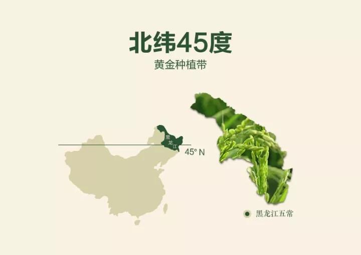 五常富硒锌大米（富硒大米和五常大米哪个好）-硒宝网