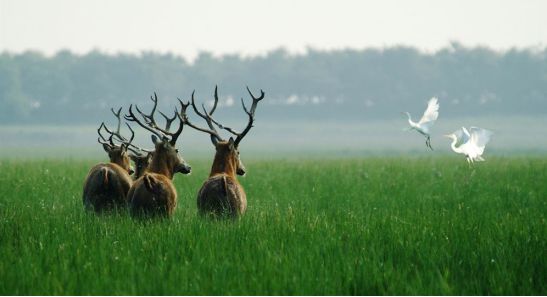 海丰县富硒大米（富硒大米基地）-硒宝网