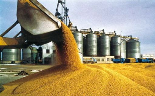 海丰县富硒大米（富硒大米基地）-硒宝网