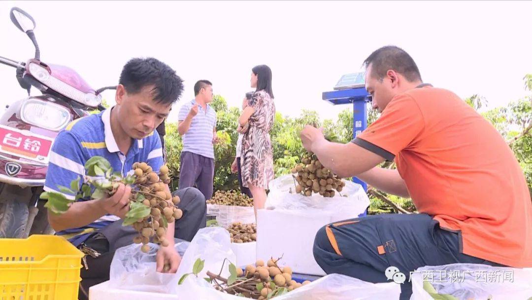 富硒大米自热包(据报道富硒大米有多种保健功能)-硒宝网