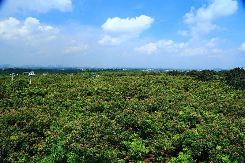 富硒大米自热包(据报道富硒大米有多种保健功能)-硒宝网