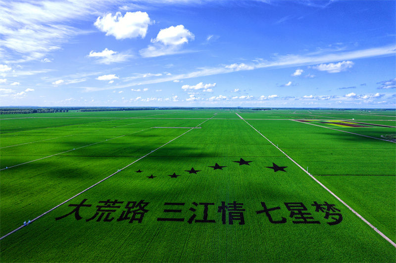 建三江富硒大米（三江大米是转基因的吗）-硒宝网