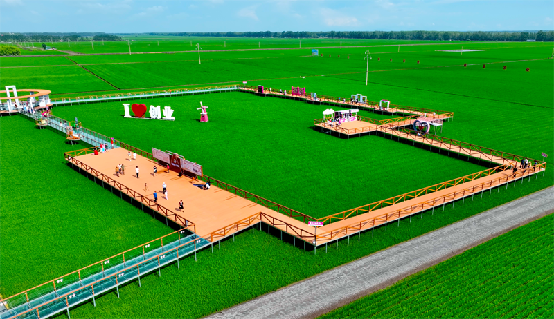 建三江富硒大米（三江大米是转基因的吗）-硒宝网