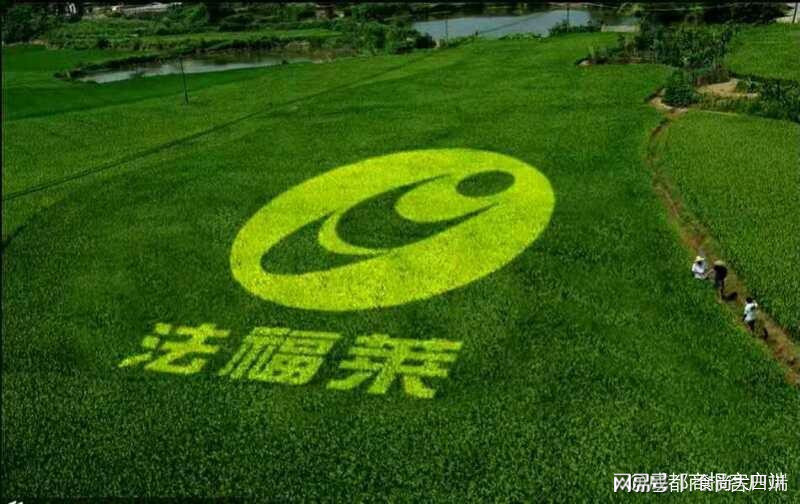 四川富硒源大米(原生态富硒大米)-硒宝网