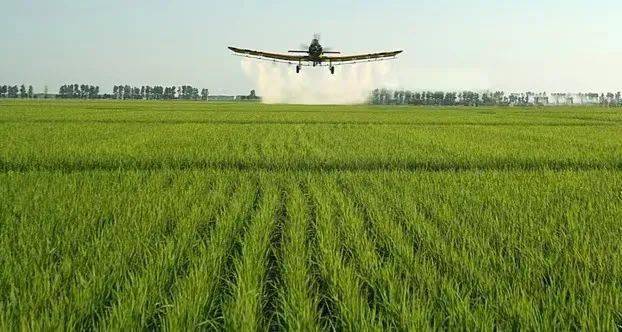 建三江富硒大米(三江大米的产地是哪)-硒宝网