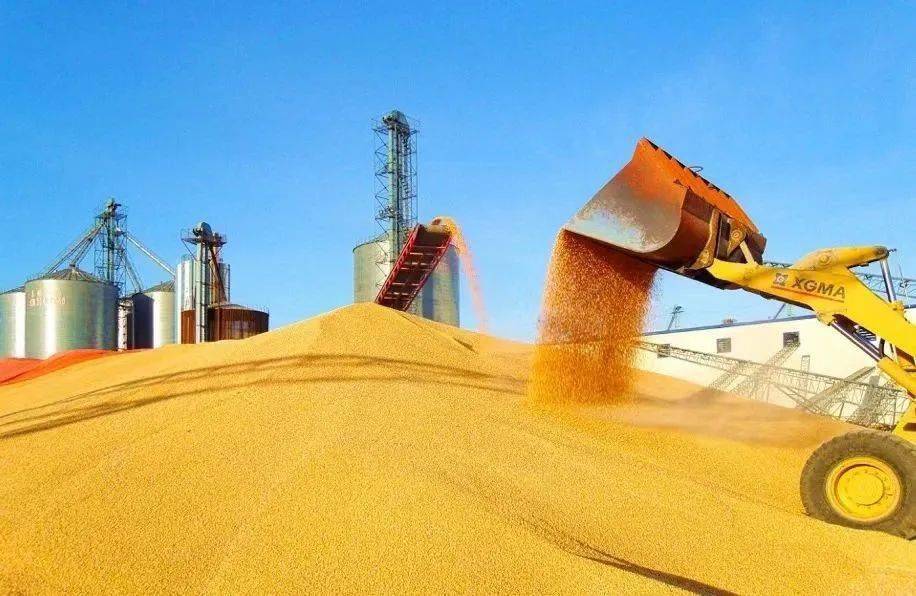 建三江富硒大米(三江大米的产地是哪)-硒宝网