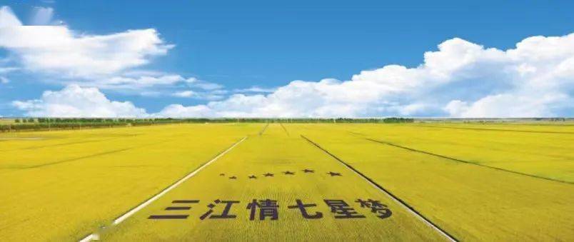 建三江富硒大米(三江大米的产地是哪)-硒宝网