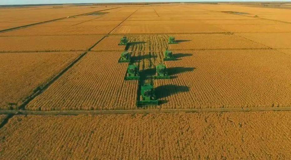 建三江富硒大米(三江大米的产地是哪)-硒宝网