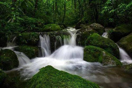 富硒大米饭团购(富硒的大米)-硒宝网