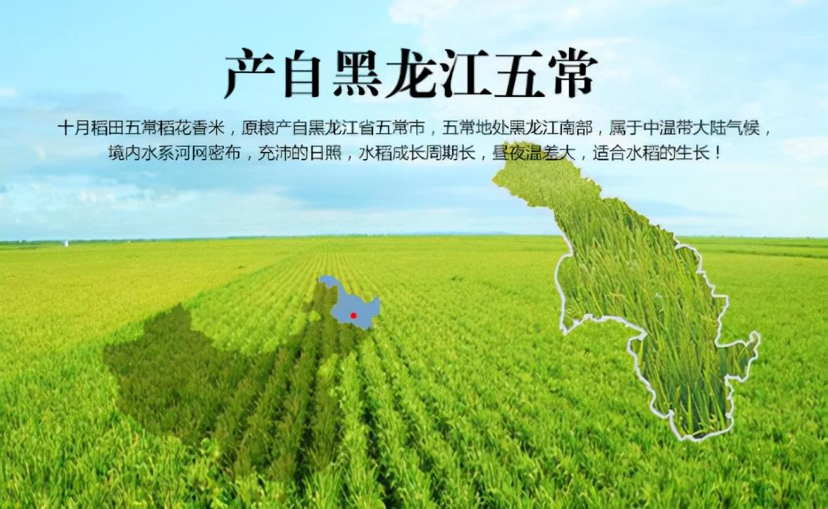 五常富硒锌大米（大米锌五常富硒含量多少）-硒宝网