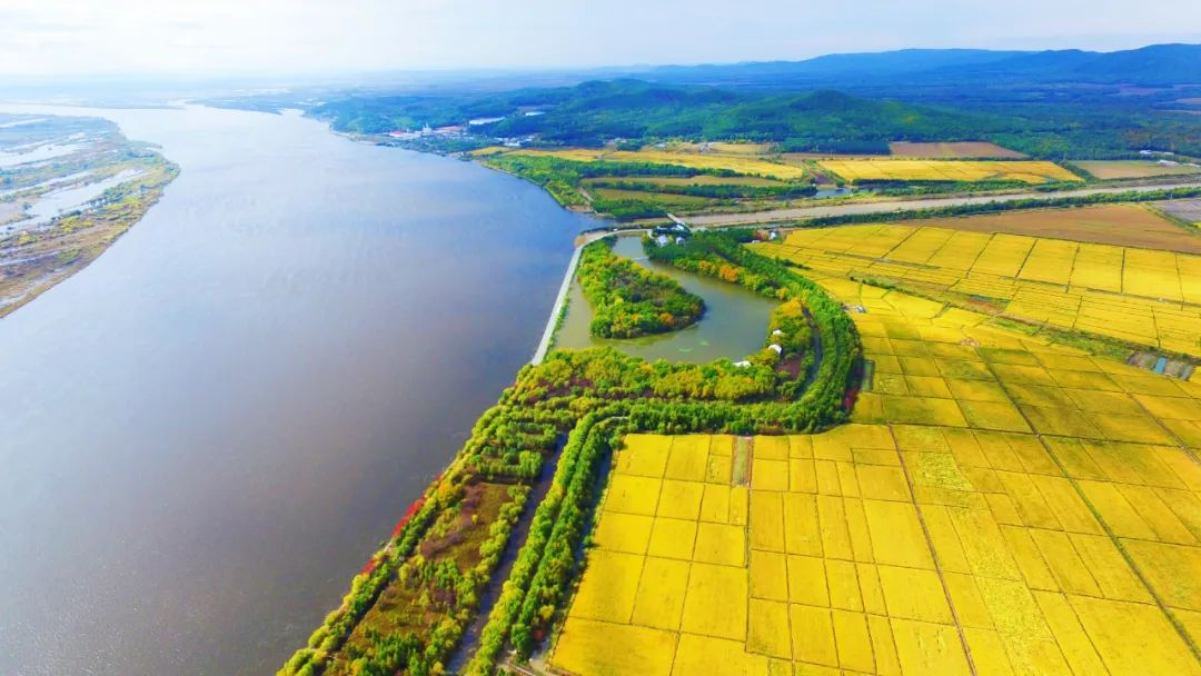 建三江富硒大米(建三江大米企业哪家最大)-硒宝网