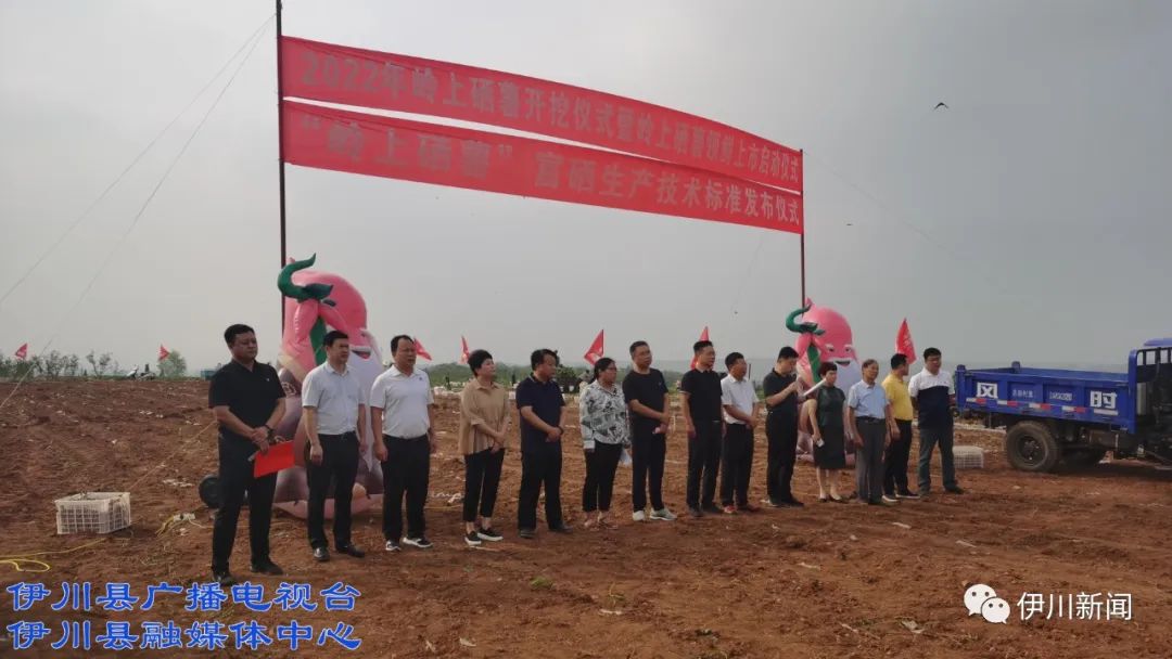 聊城 富硒地瓜(山东富硒地瓜)-硒宝网