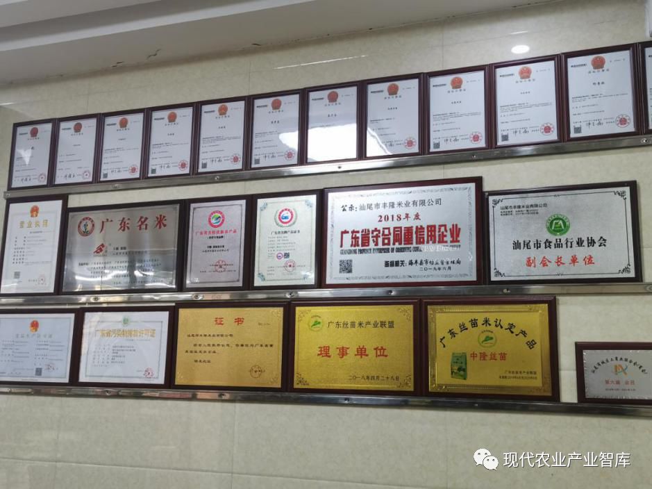 海丰县富硒大米（海丰大米产地）-硒宝网