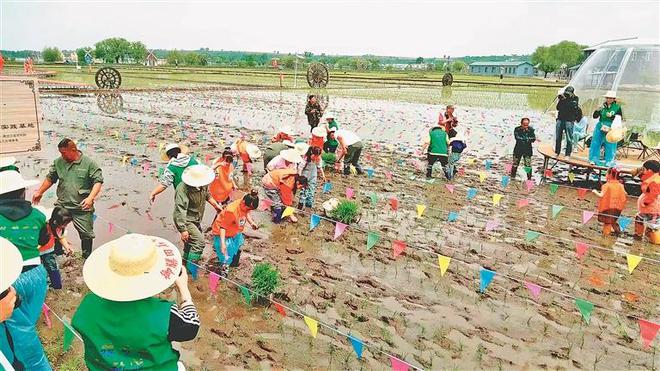 八面通富硒大米（大米姐富硒米）-硒宝网