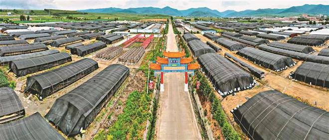 八面通富硒大米（大米姐富硒米）-硒宝网