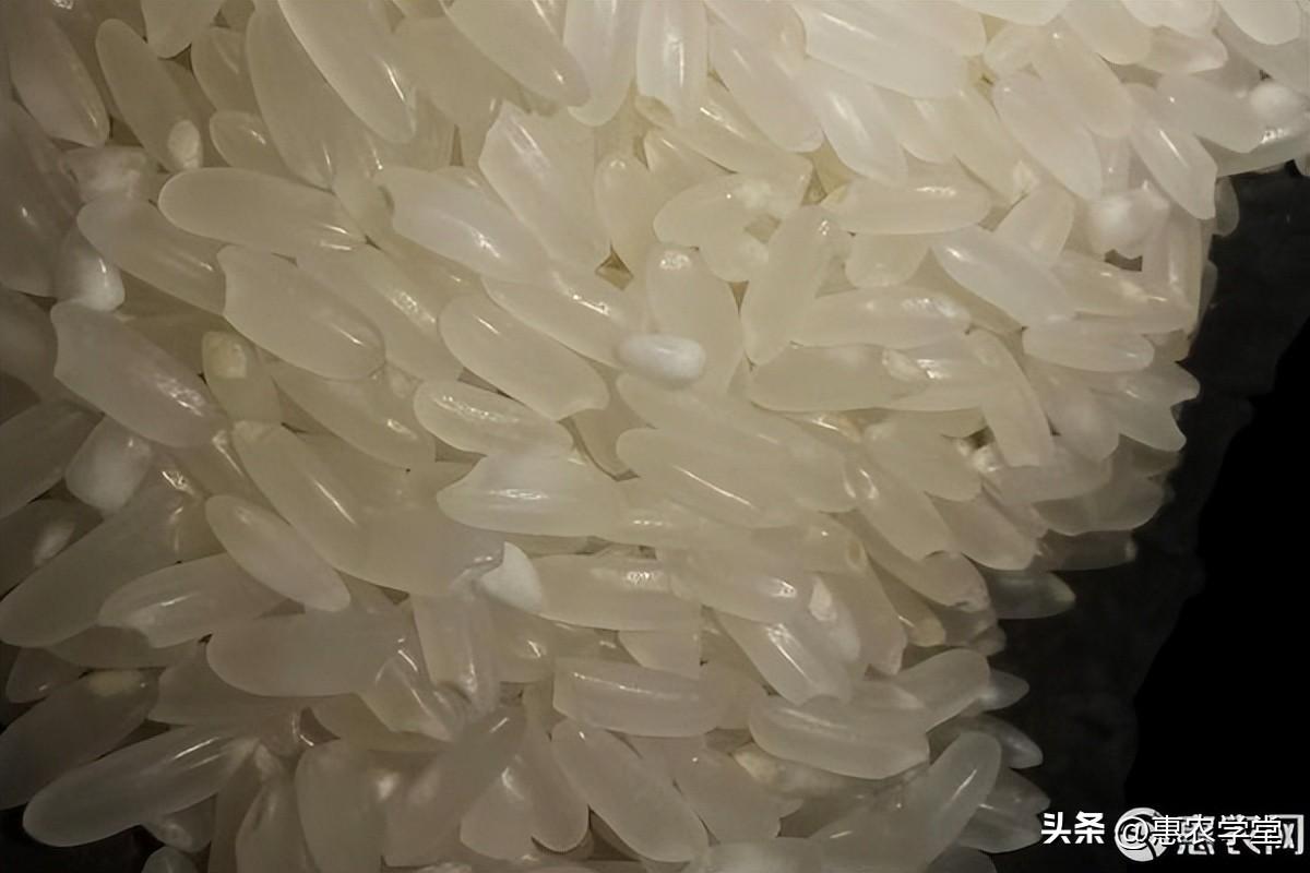 四川富硒的大米（富硒大米价格）-硒宝网