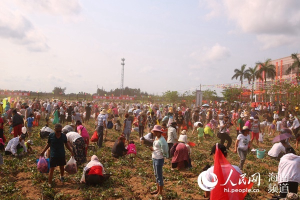 上京镇富硒地瓜（富硒地瓜产地是哪里）-硒宝网