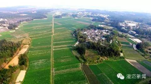 薯我富富硒地瓜（富硒地瓜含硒高吗）-硒宝网