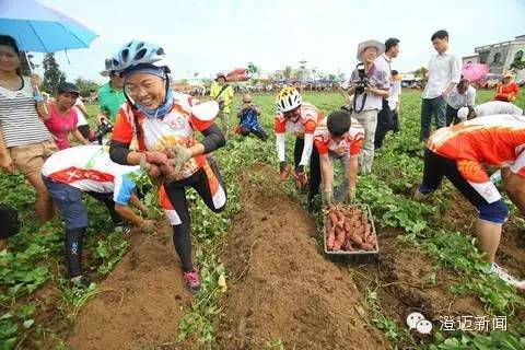 薯我富富硒地瓜（富硒地瓜含硒高吗）-硒宝网
