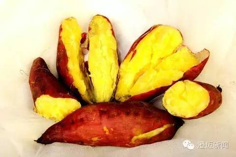 薯我富富硒地瓜（富硒地瓜含硒高吗）-硒宝网