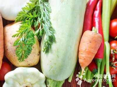 富硒地瓜片厂家（富硒地瓜好吃吗）-硒宝网