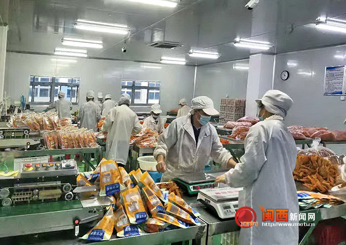 郑州富硒地瓜苗(富硒地瓜苗哪里有卖)-硒宝网