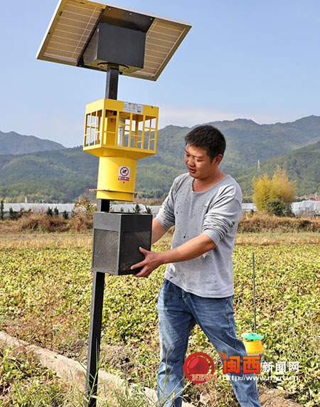 郑州富硒地瓜苗(富硒地瓜苗哪里有卖)-硒宝网