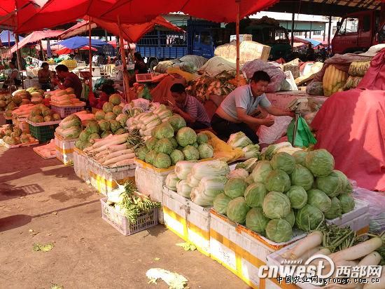 富硒地瓜片厂家（富硒地瓜的骗局）-硒宝网