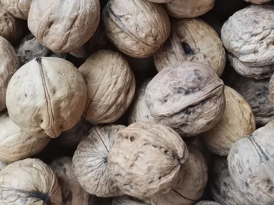 富硒地瓜片功效（富硒地瓜的功效）-硒宝网