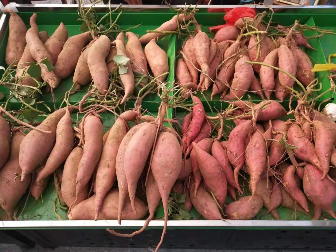 富硒地瓜片功效（富硒地瓜的功效）-硒宝网