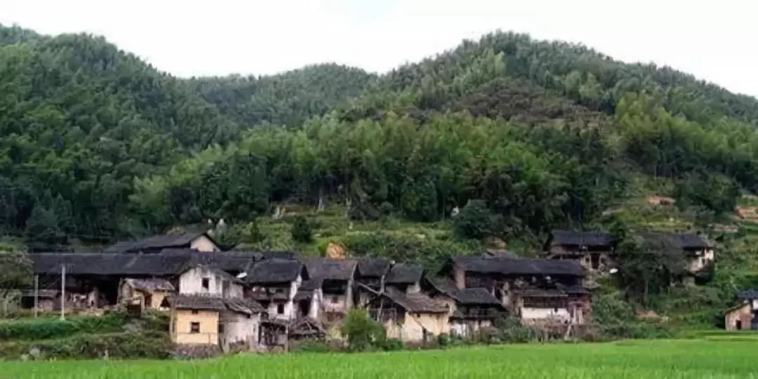 富硒地瓜片文案（地瓜的宣传文案）-硒宝网