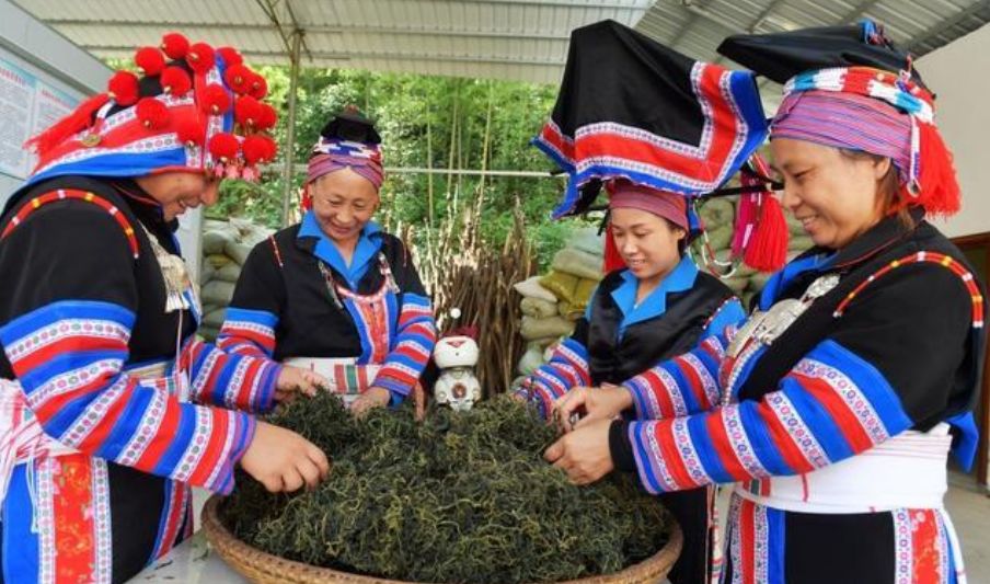 富硒地瓜片文案（地瓜的宣传文案）-硒宝网