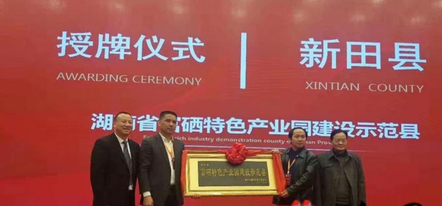 富硒地瓜片文案（地瓜的宣传文案）-硒宝网