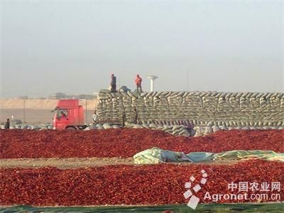 富硒地瓜片厂家（富硒地瓜哪个产地的好）-硒宝网