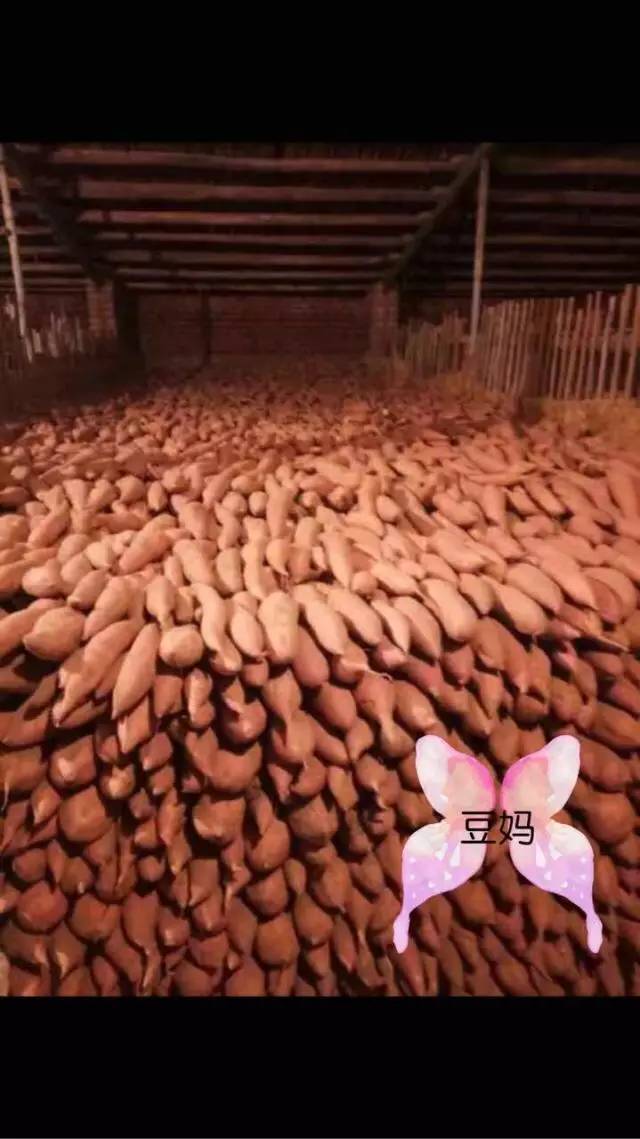 富硒地瓜如何吃（富硒地瓜能减肥吗）-硒宝网