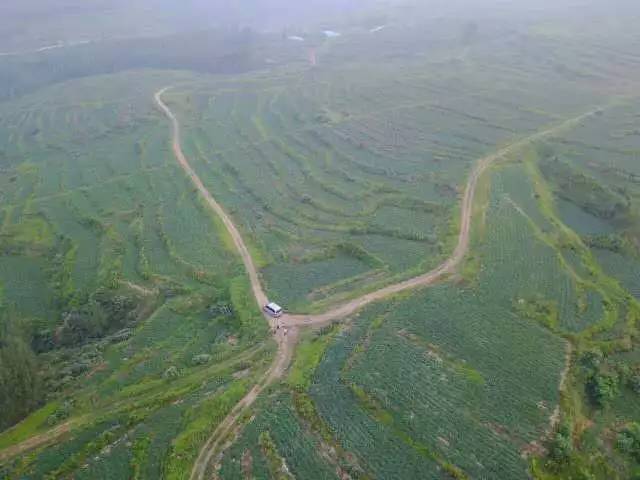 富硒地瓜如何吃（富硒地瓜能减肥吗）-硒宝网