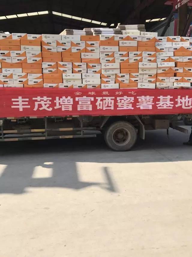 富硒地瓜如何吃（富硒地瓜能减肥吗）-硒宝网