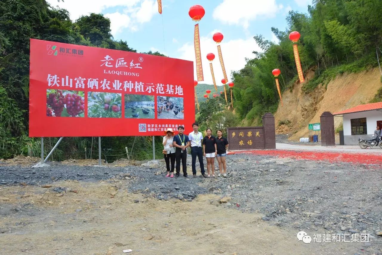 富硒地瓜片功效（地瓜功效片富硒的作用）-硒宝网