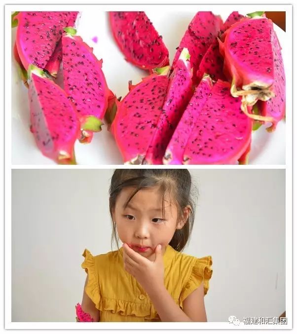 富硒地瓜片功效（地瓜功效片富硒的作用）-硒宝网