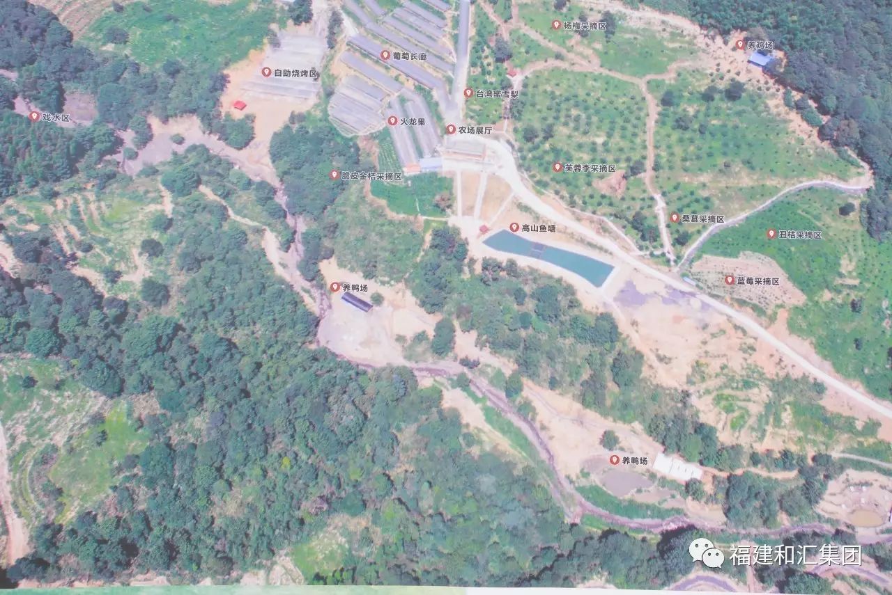 富硒地瓜片功效（地瓜功效片富硒的作用）-硒宝网