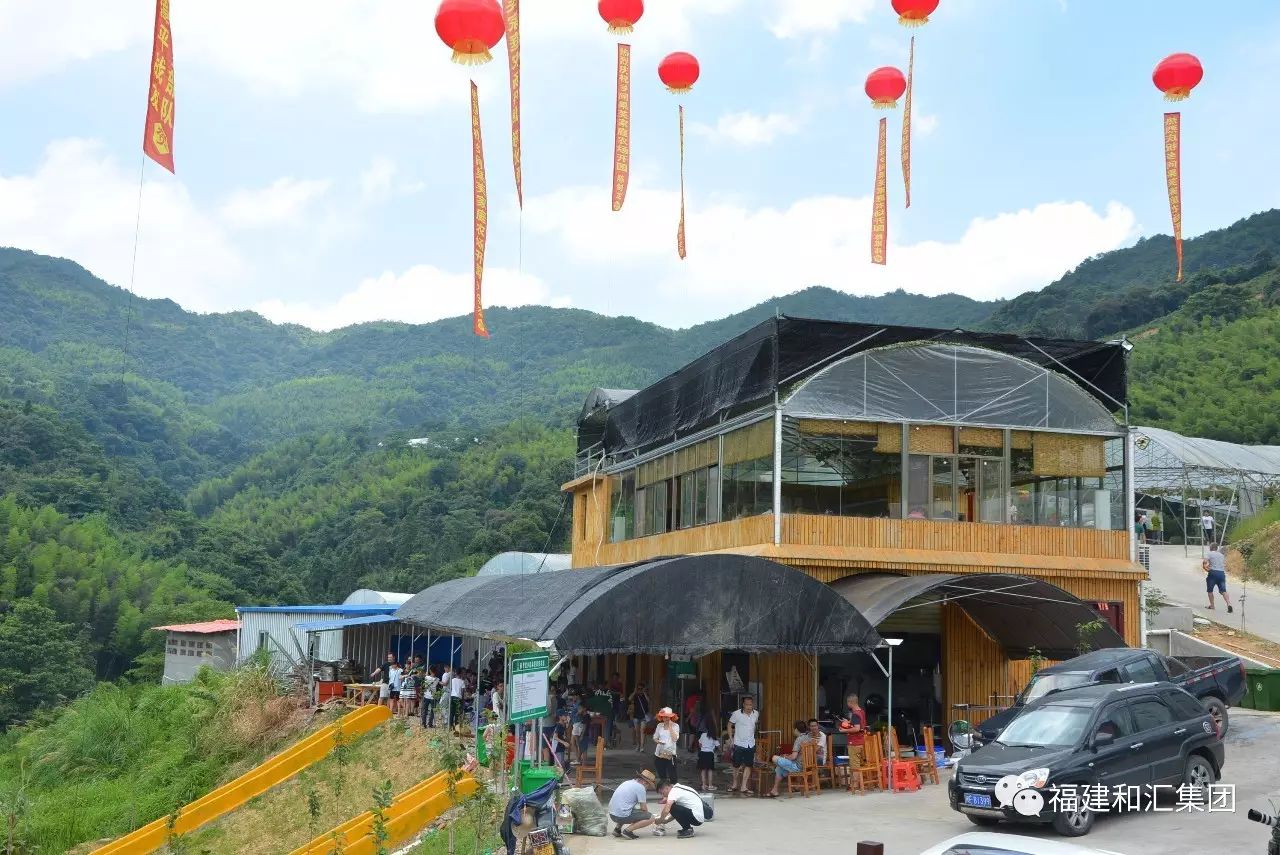 富硒地瓜片功效（地瓜功效片富硒的作用）-硒宝网