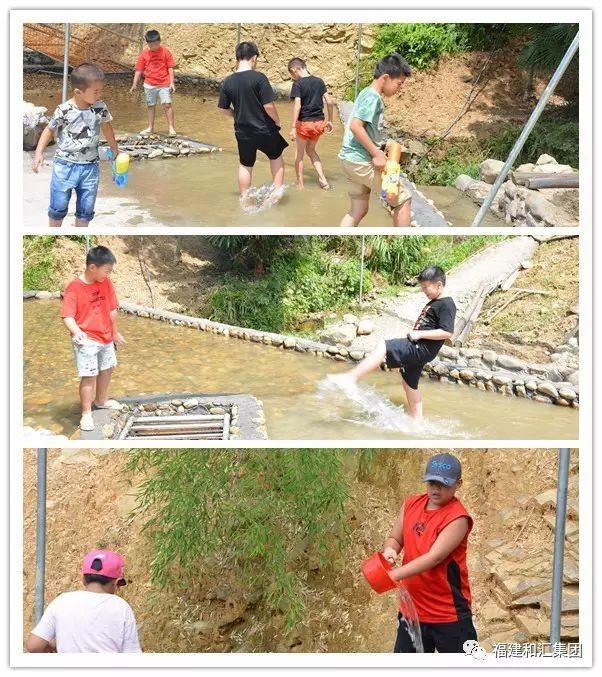 富硒地瓜片功效（地瓜功效片富硒的作用）-硒宝网