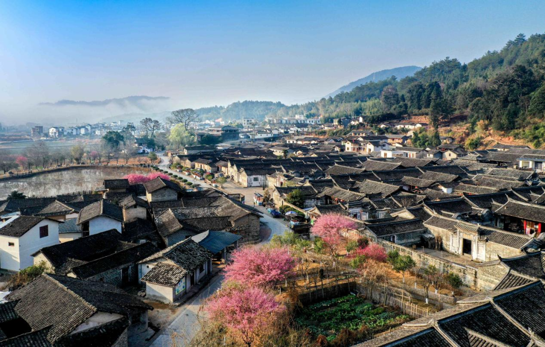 连城富硒鲜地瓜(连城县地瓜干食品加工园区)-硒宝网