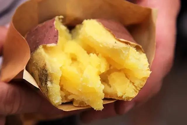 烟台富硒地瓜苗（烟台地区地瓜种植时间）-硒宝网