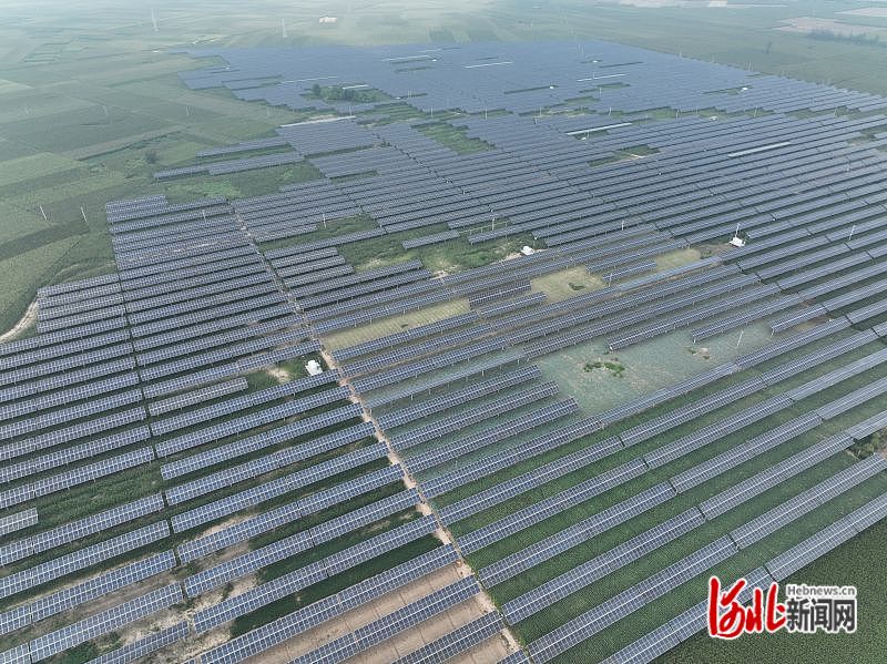 山口镇富硒地瓜（山口地瓜好吃还是桥头）-硒宝网