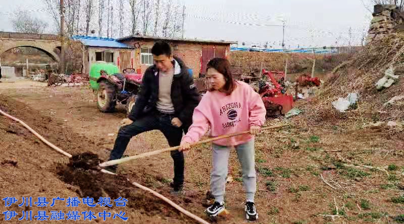 富硒地瓜种哪里（富硒地瓜怎么种植）-硒宝网